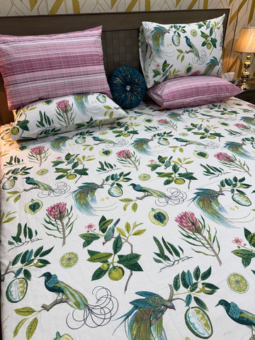 S - 82 Cotton BedSheet